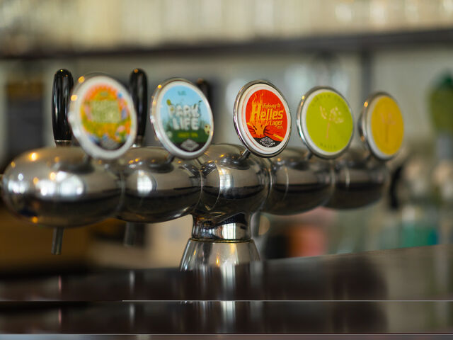 FUNCTIONS Craft Beer Taps